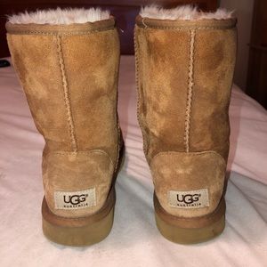 Tan Ugg Boots